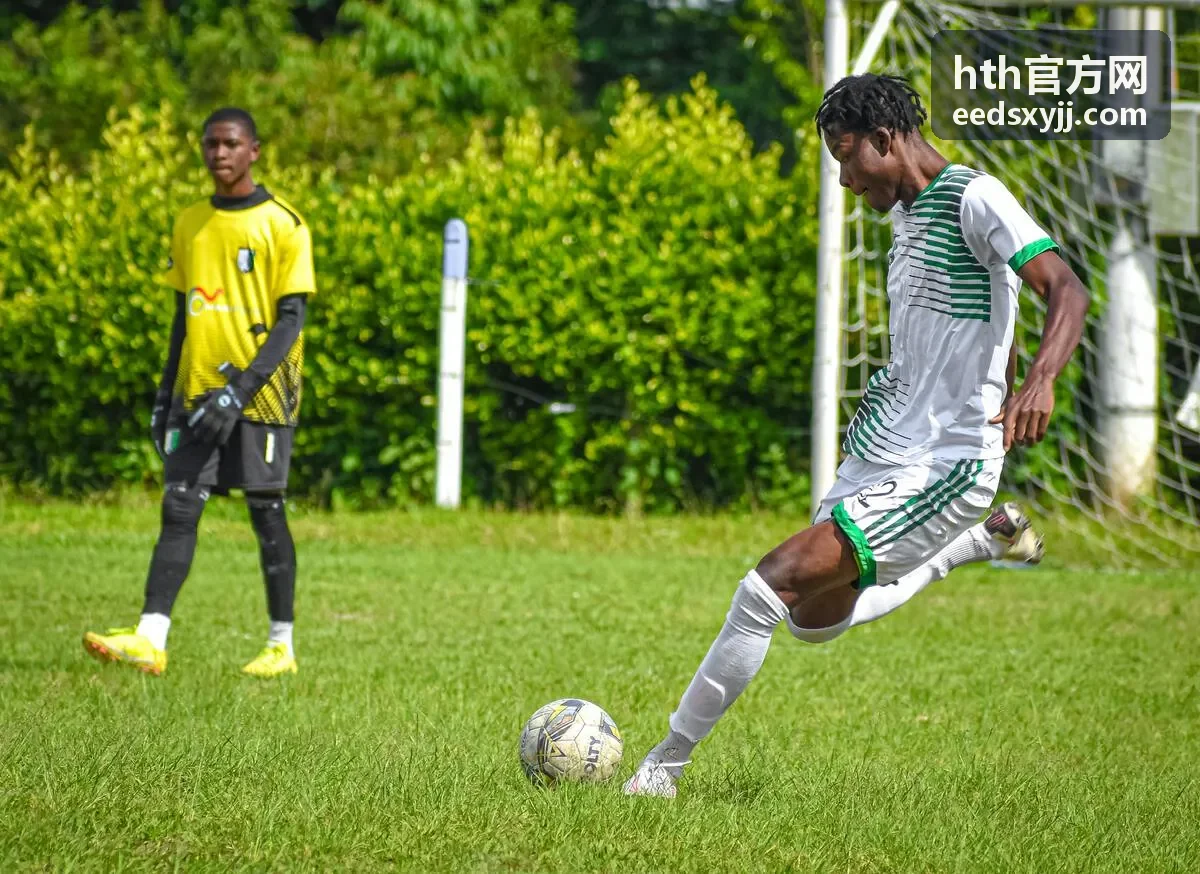 hth官方网直播预告与开播提醒配图